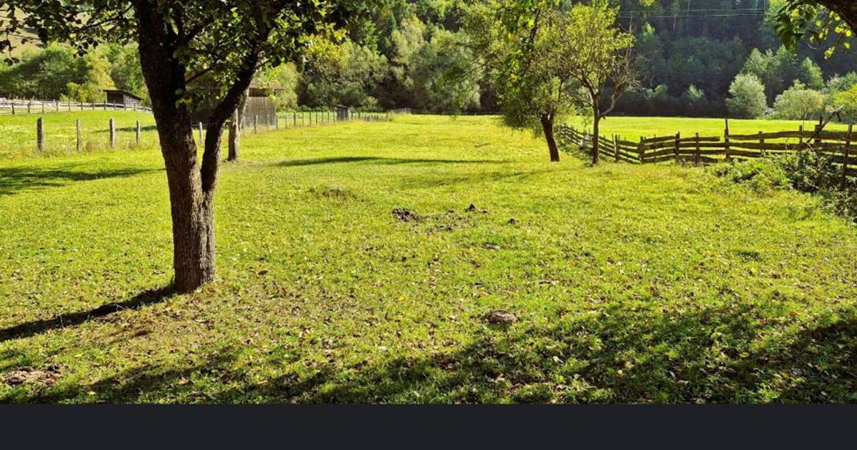 Teren agricol intravilan de 33300 mp, în Tulgheș