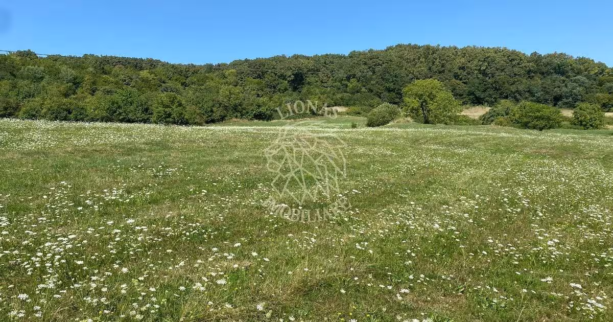 Teren agricol extravilan de 11000 mp, în Unirea
