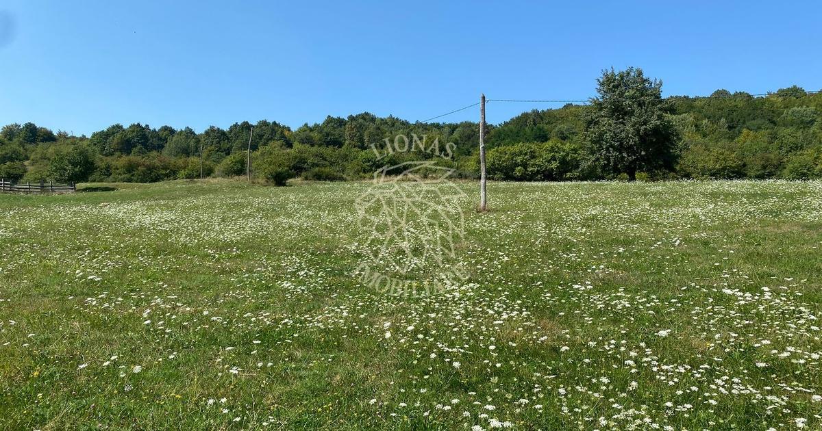 Teren agricol extravilan de 11000 mp, în Unirea