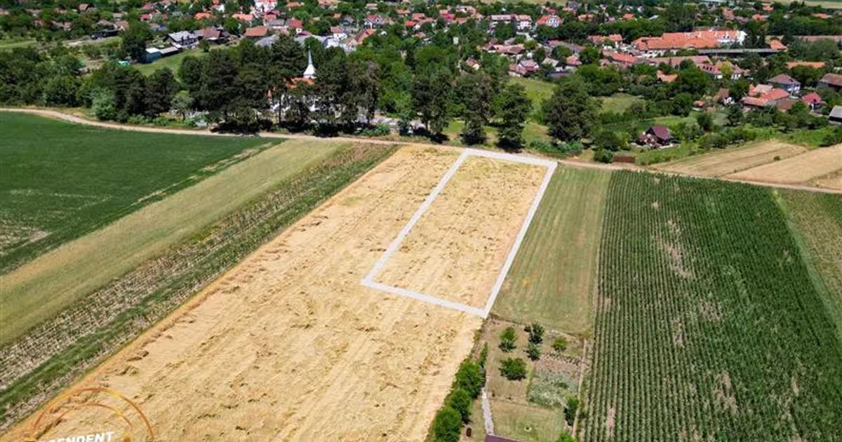 Teren agricol extravilan de 2268 mp, în Valea Crișului