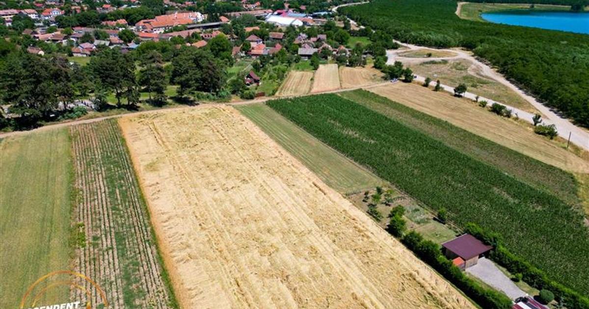Teren agricol extravilan de 2268 mp, în Valea Crișului