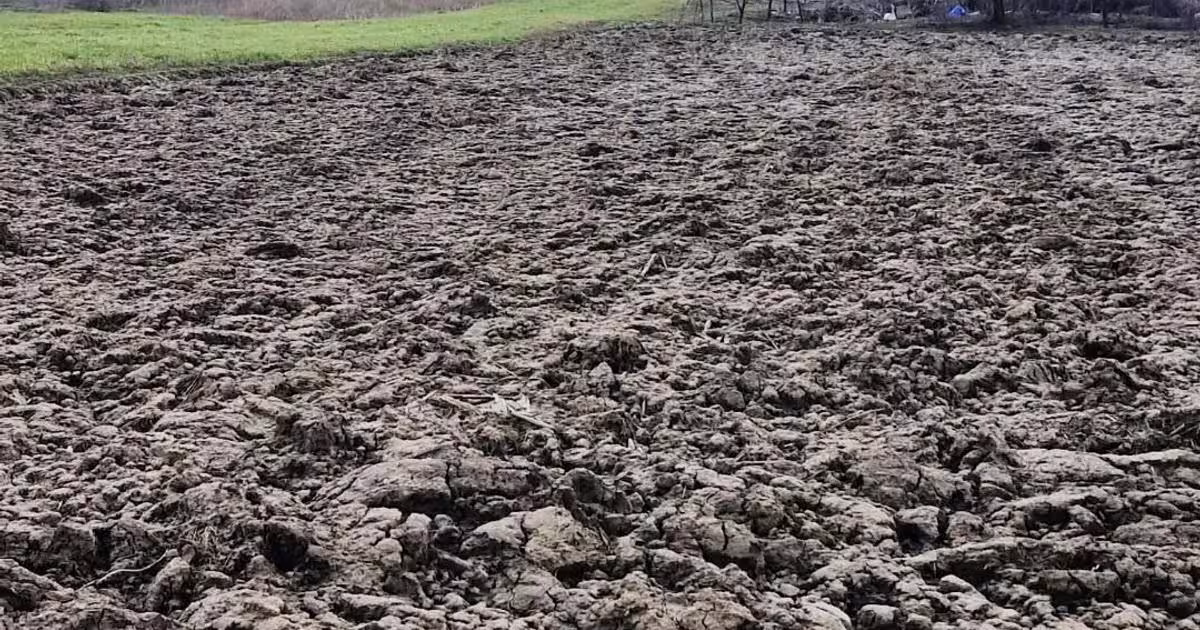 Teren agricol extravilan de 5000 mp, în Vărăști