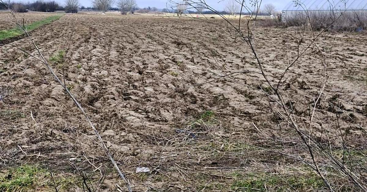 Teren agricol extravilan de 5000 mp, în Vărăști