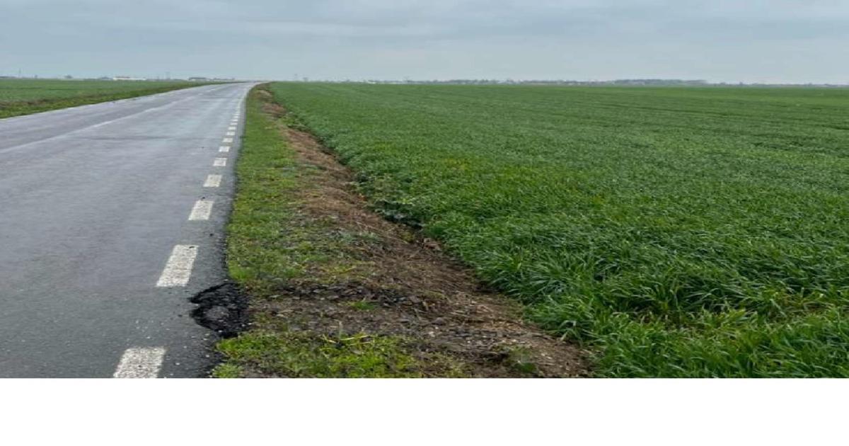 Teren agricol extravilan de 1000 mp, în Vasilați