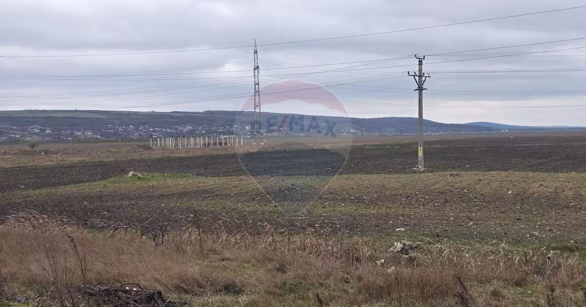 Teren agricol extravilan de 41025 mp, în zona Periferie, Vaslui