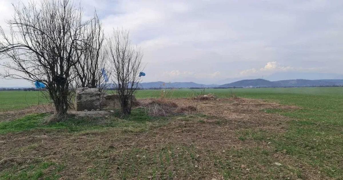 Teren agricol extravilan de 11469 mp, în Voinigești