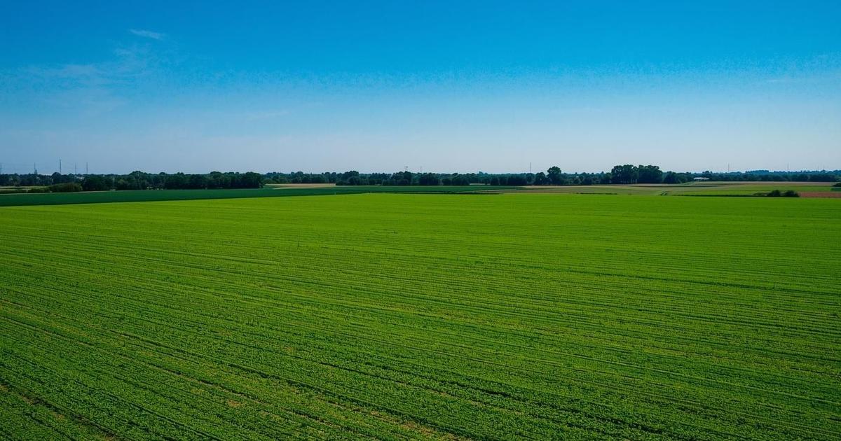 Teren agricol extravilan de 488600 mp, în Zăbrani