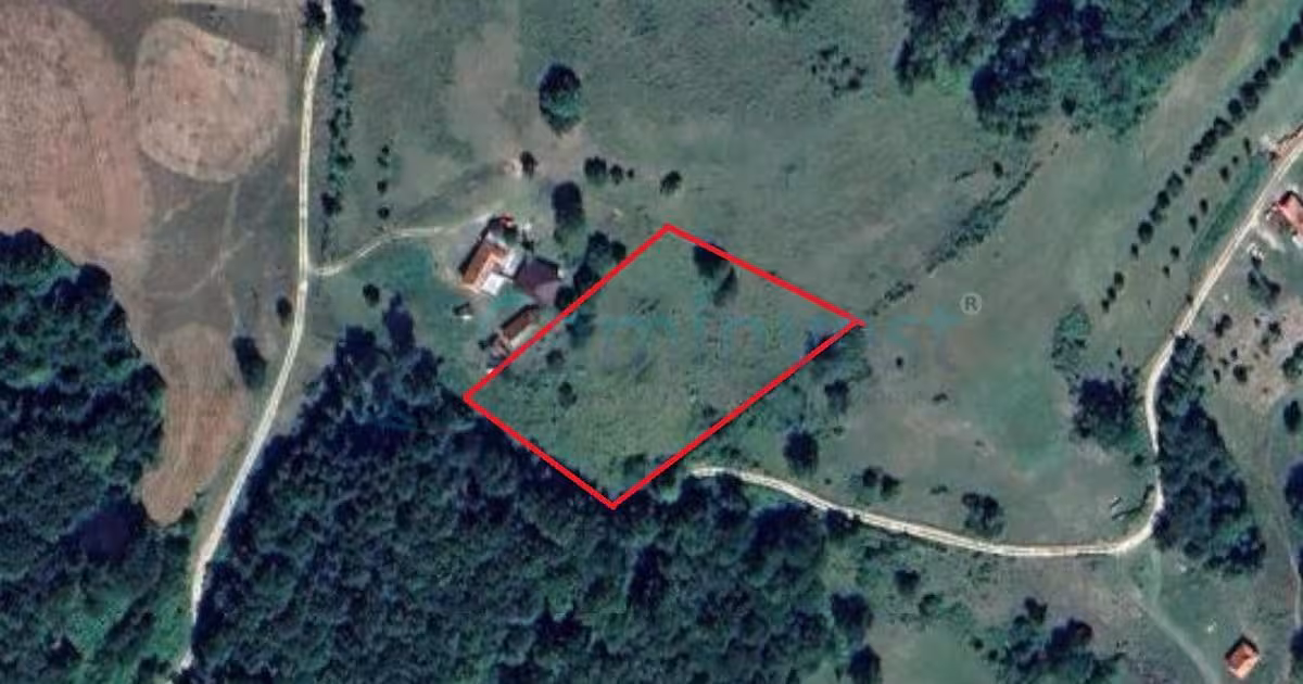 Teren agricol extravilan de 6400 mp, în Zece Hotare