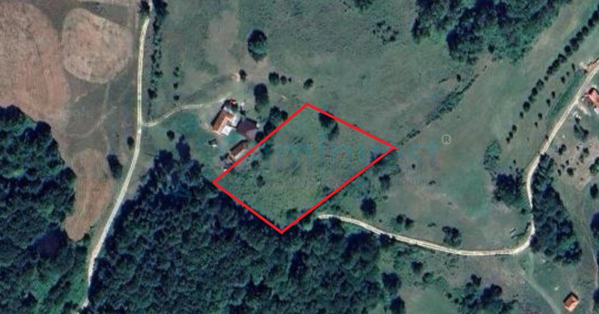 Teren agricol extravilan de 6400 mp, în Zece Hotare