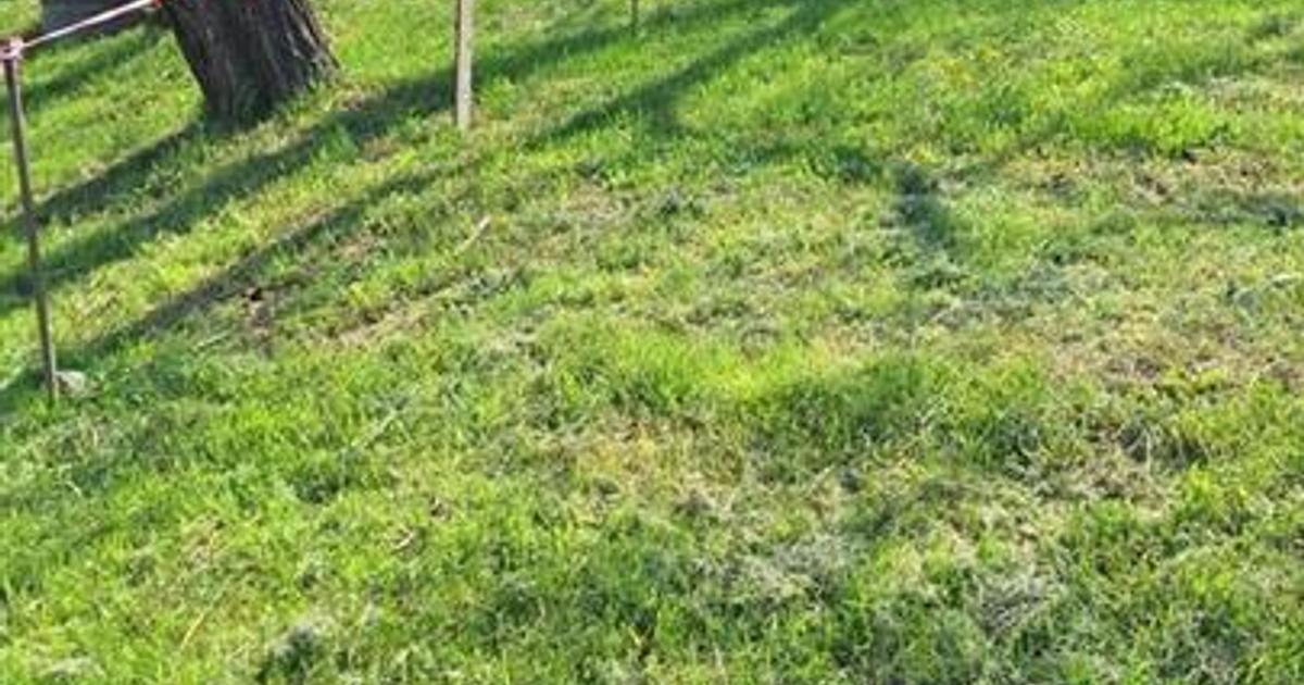 Teren construcție în zona Est, Onești