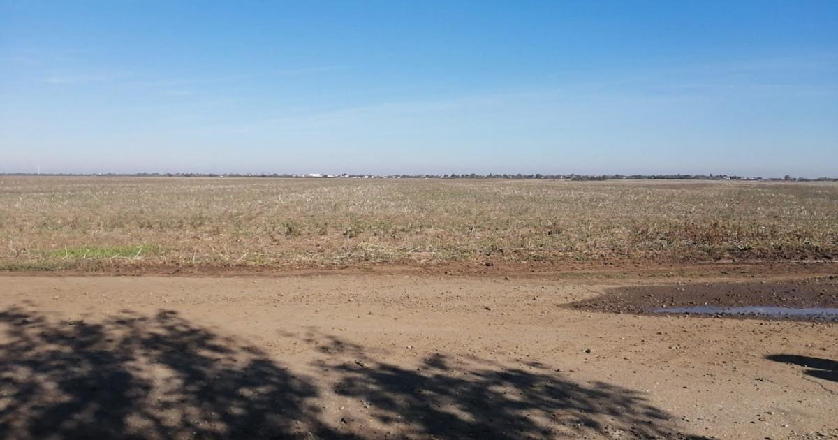 Teren Construcții intravilan de 15205 mp, în Adunații-Copăceni