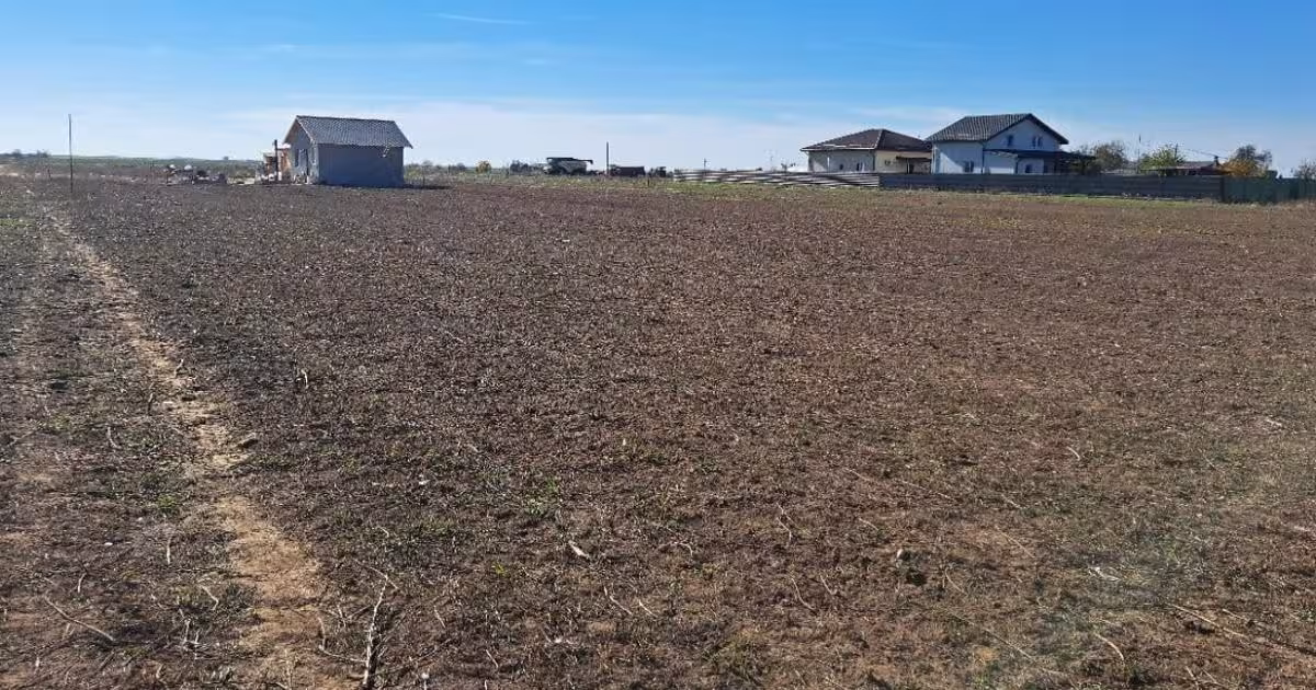 Teren Construcții intravilan de 538 mp, în Adunații-Copăceni