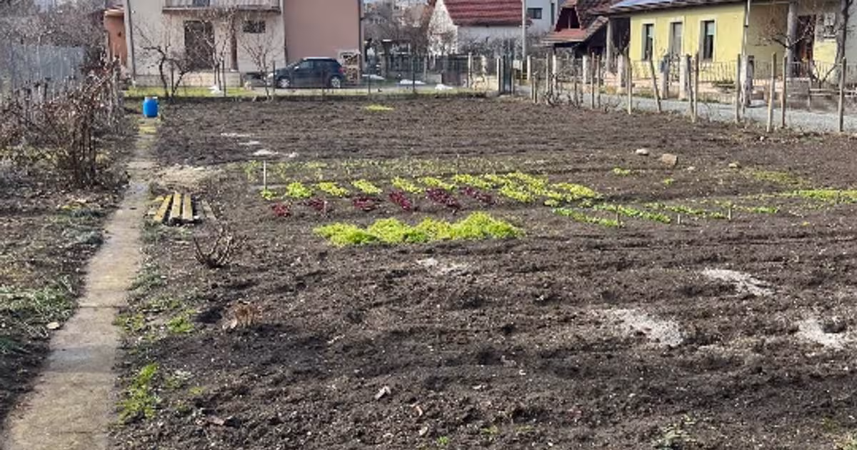 Teren Construcții intravilan de 405 mp, în zona Central, Alba Iulia