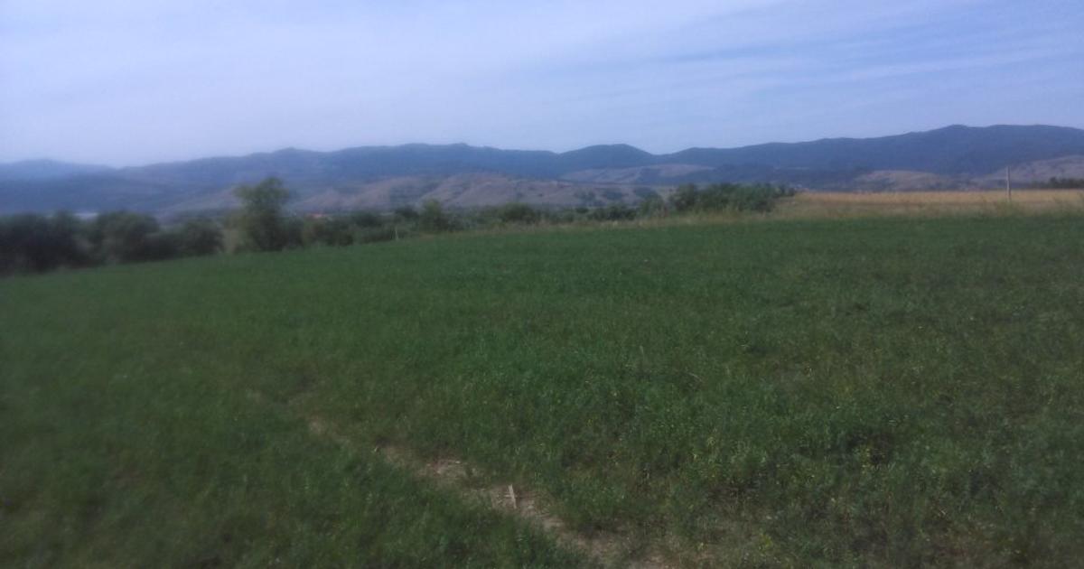 Teren Construcții intravilan de 500 mp, în zona Est, Alba Iulia