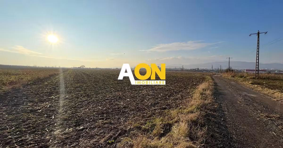 Teren Construcții intravilan de 25000 mp, în zona Periferie, Alba Iulia