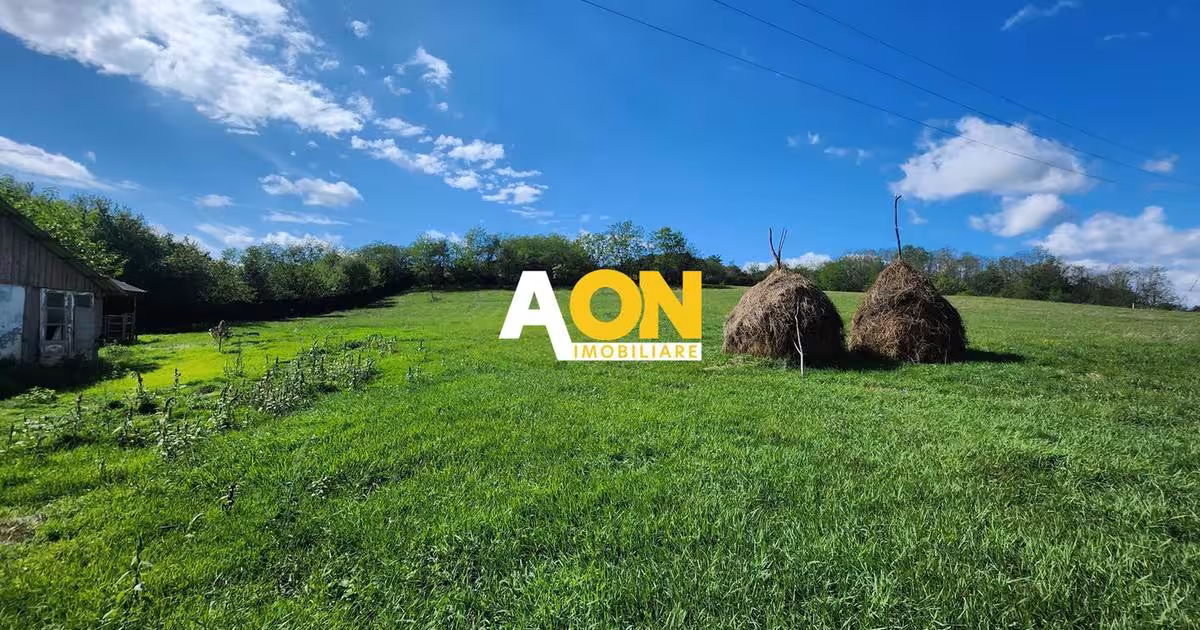 Teren Construcții intravilan de 2965 mp, în zona Periferie, Alba Iulia