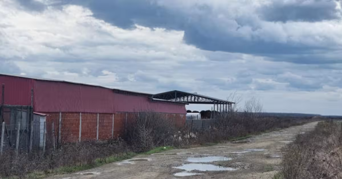 Teren Construcții intravilan de 7300 mp, în Amați