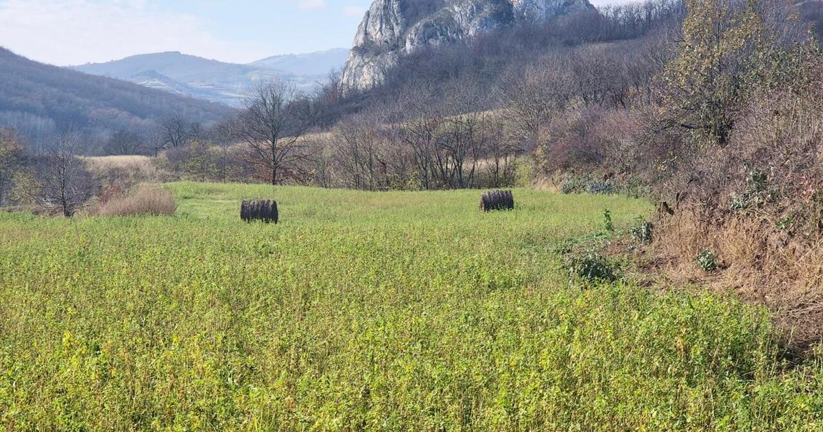 Teren Construcții intravilan de 1700 mp, în Ampoița