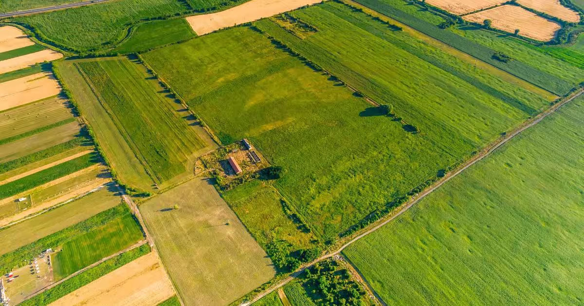 Teren Construcții intravilan de 10000 mp, în zona Bujac, Arad