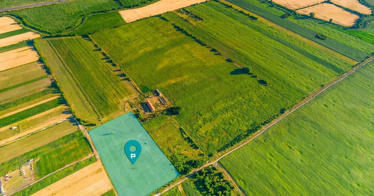 Teren Construcții intravilan de 10000 mp, în zona Bujac, Arad