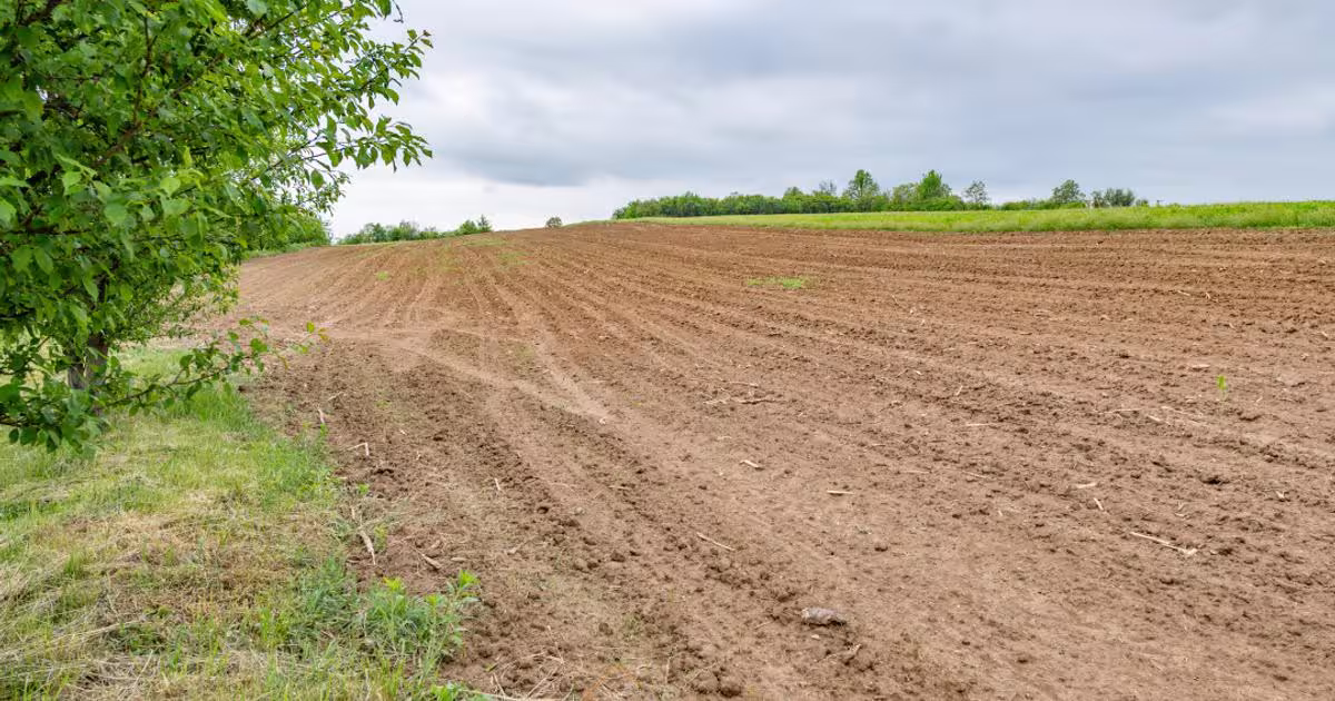 Teren Construcții de 13434 mp, în Ardeoani