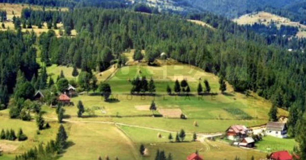 Teren Construcții intravilan de 250 mp, în Arieșeni