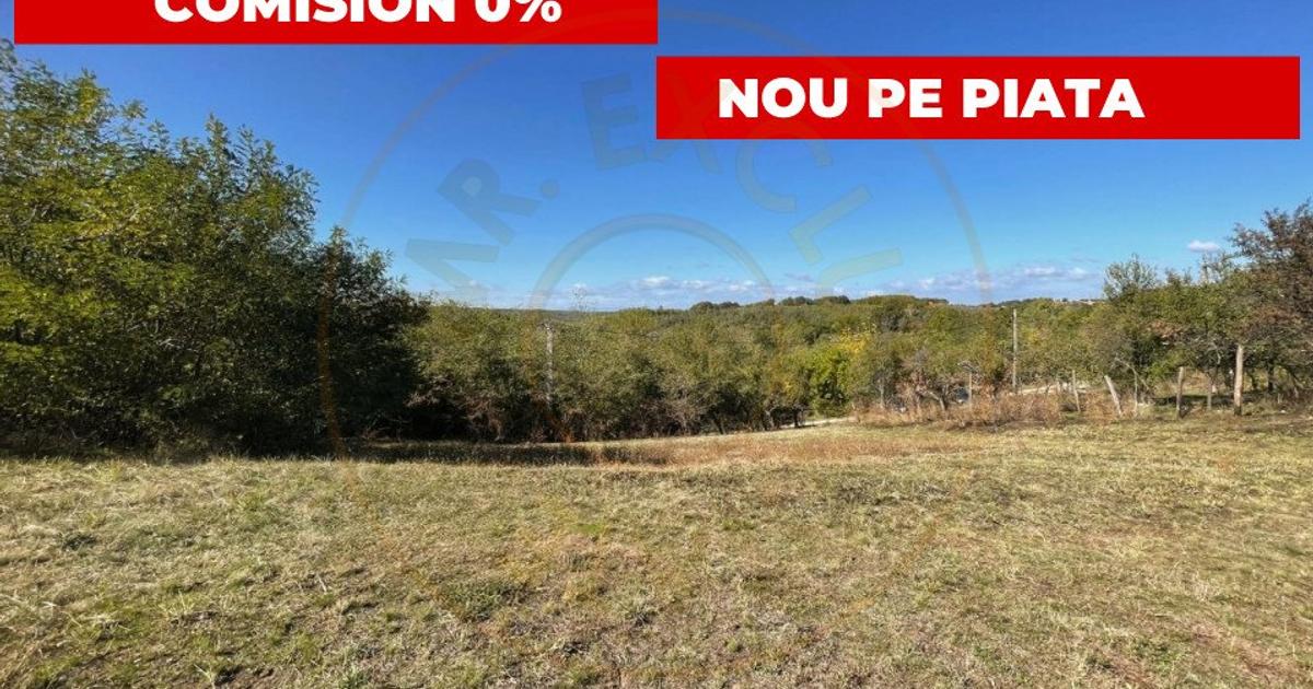 Teren Construcții intravilan de 5000 mp, în Băbana