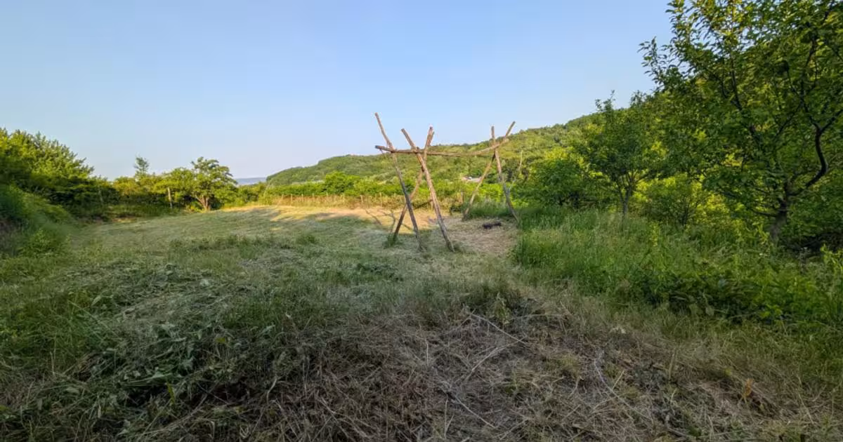 Teren Construcții extravilan de 4038 mp, în zona Central, Bacău