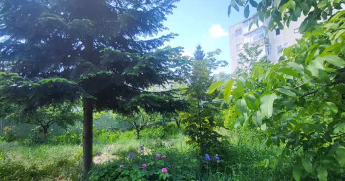 Teren Construcții intravilan de 1555 mp, în zona Republicii, Bacău