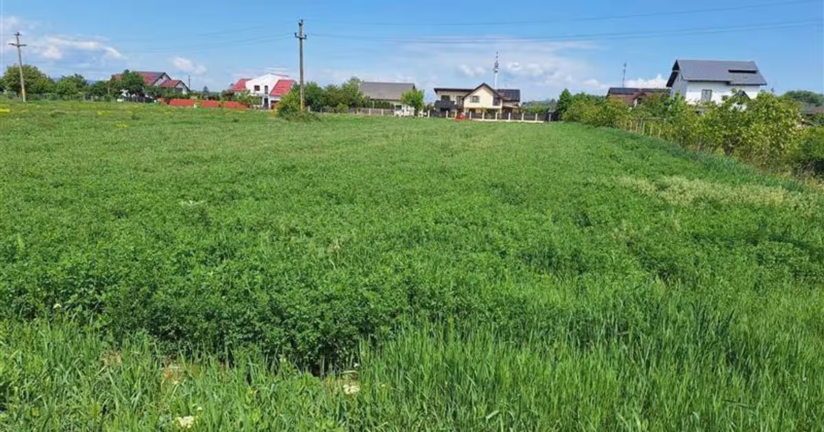 Teren Construcții intravilan de 3177 mp, în zona Șerbănești, Bacău