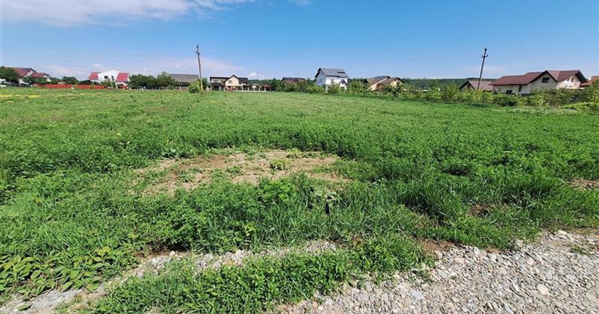 Teren Construcții intravilan de 3177 mp, în zona Șerbănești, Bacău