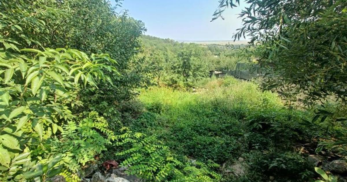 Teren Construcții intravilan de 1500 mp, în zona Vest, Bacău