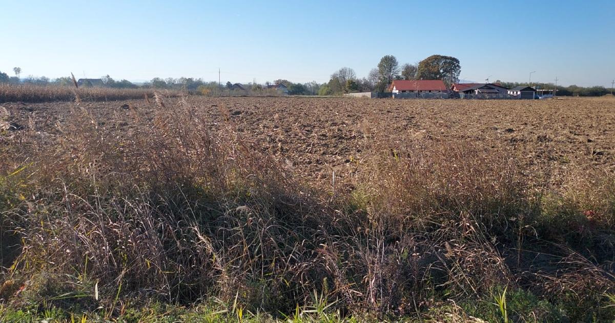 Teren Construcții intravilan de 2150 mp, în Băcia