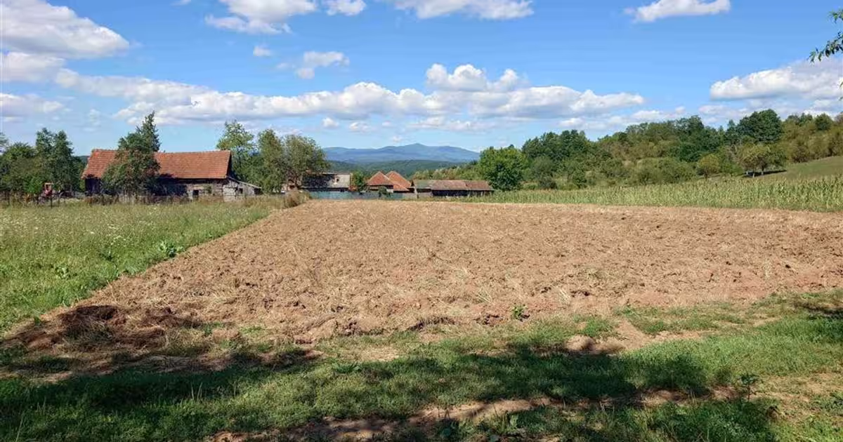 Teren Construcții intravilan de 3344 mp, în Baia de Criș