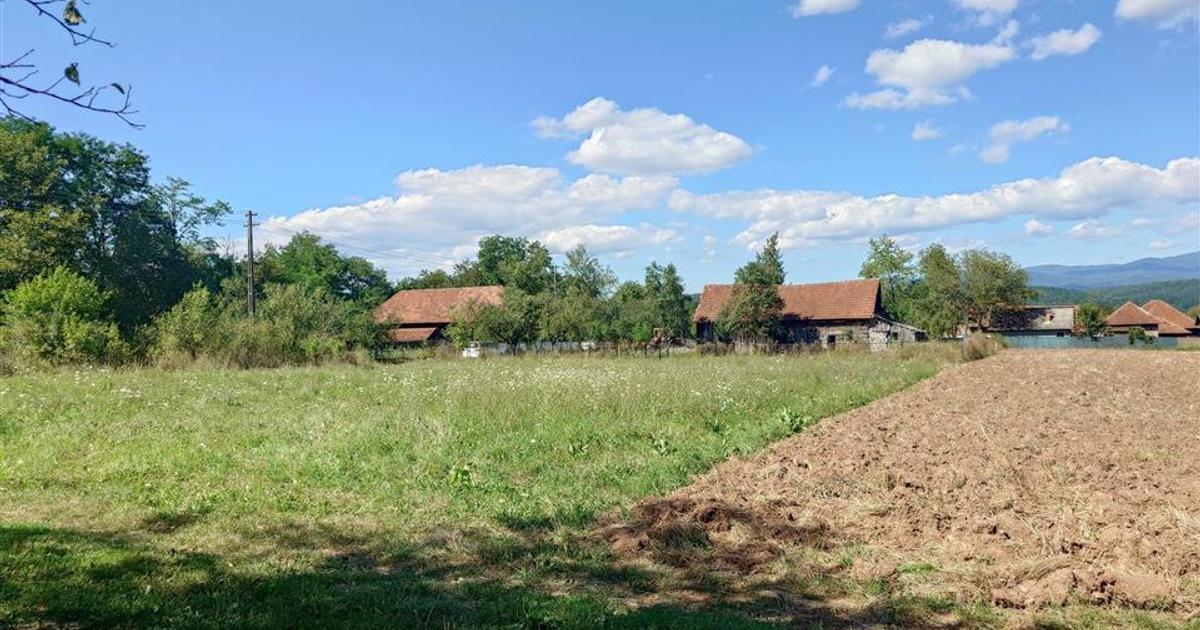 Teren Construcții intravilan de 3344 mp, în Baia de Criș