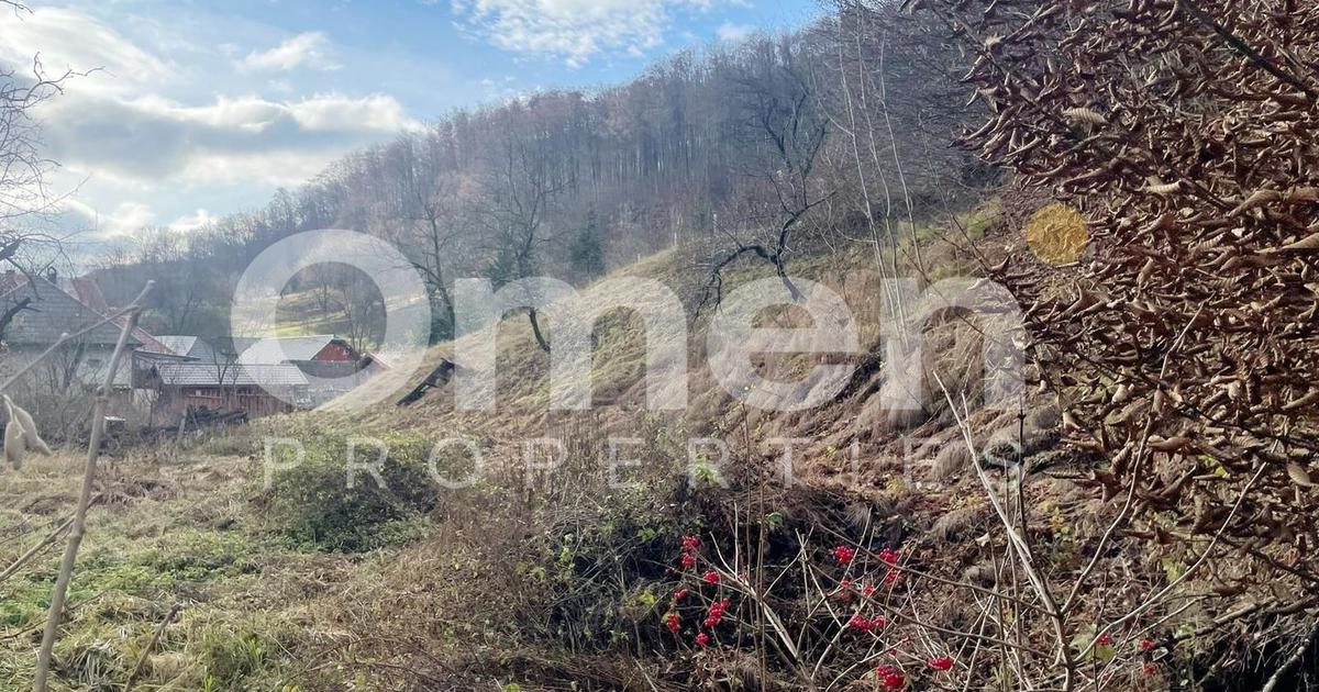 Teren Construcții intravilan de 1355 mp, în zona Firiza, Baia Mare