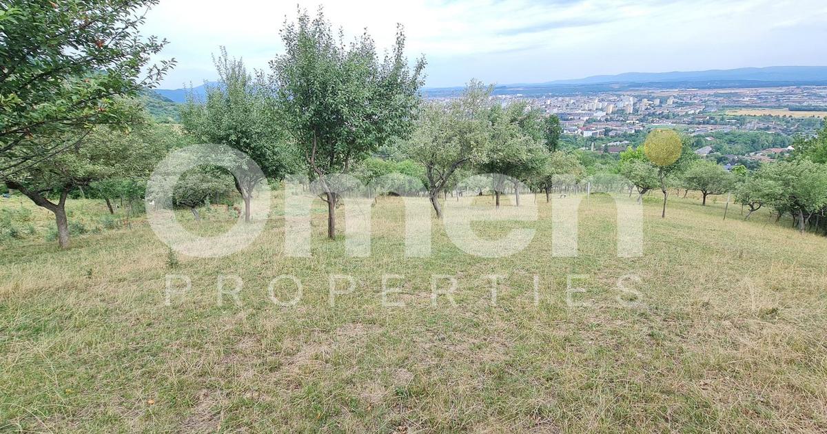 Teren Construcții extravilan de 10040 mp, în zona Valea Borcutului, Baia Mare