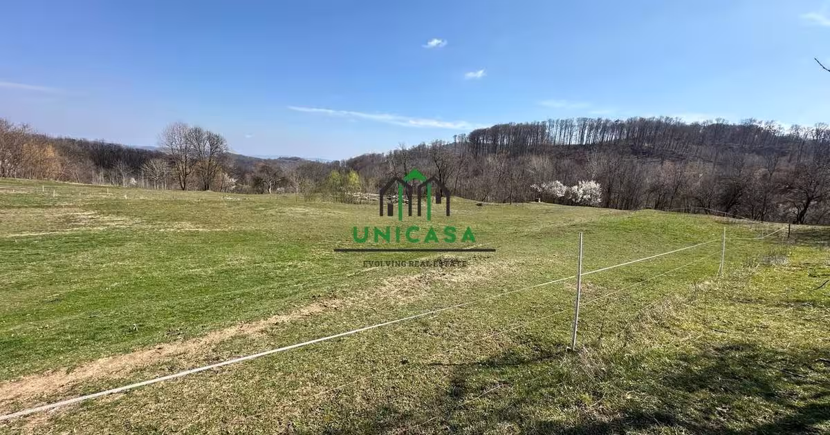 Teren Construcții intravilan de 8131 mp, în zona Sud-Est, Băile Govora