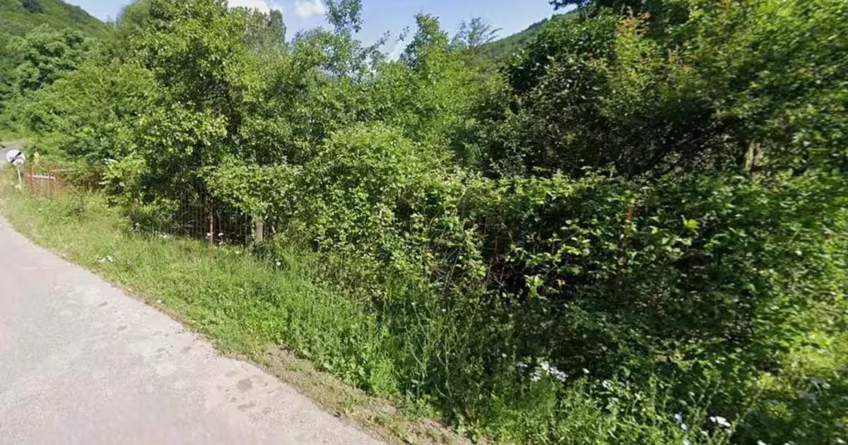 Teren Construcții intravilan de 1264 mp, în zona Central, Băile Herculane