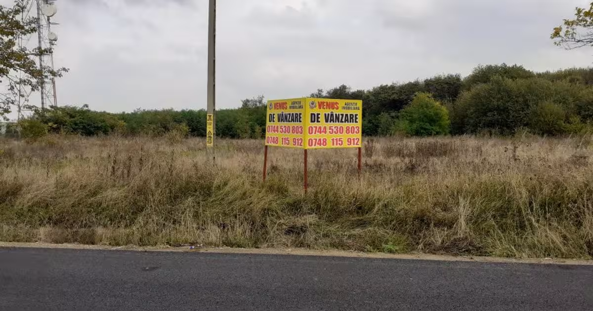 Teren Construcții intravilan de 5000 mp, în Baisa