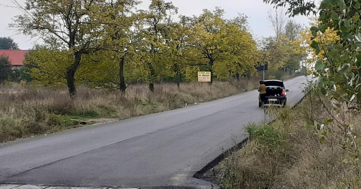 Teren Construcții intravilan de 5000 mp, în Baisa