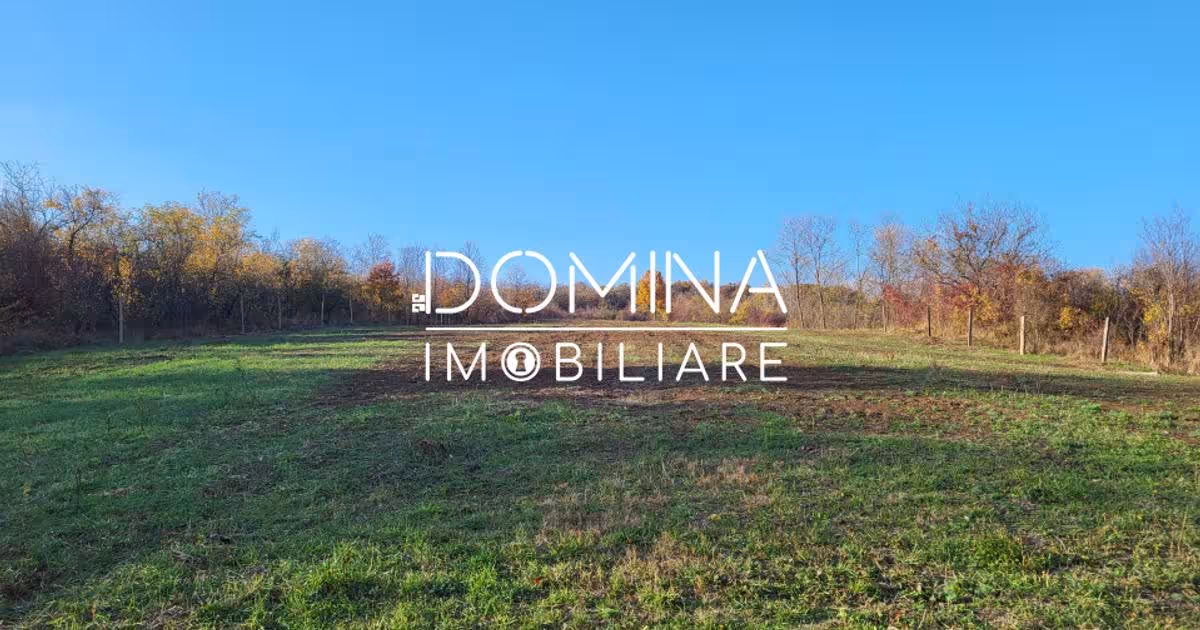 Teren Construcții intravilan de 11939 mp, în Bălănești