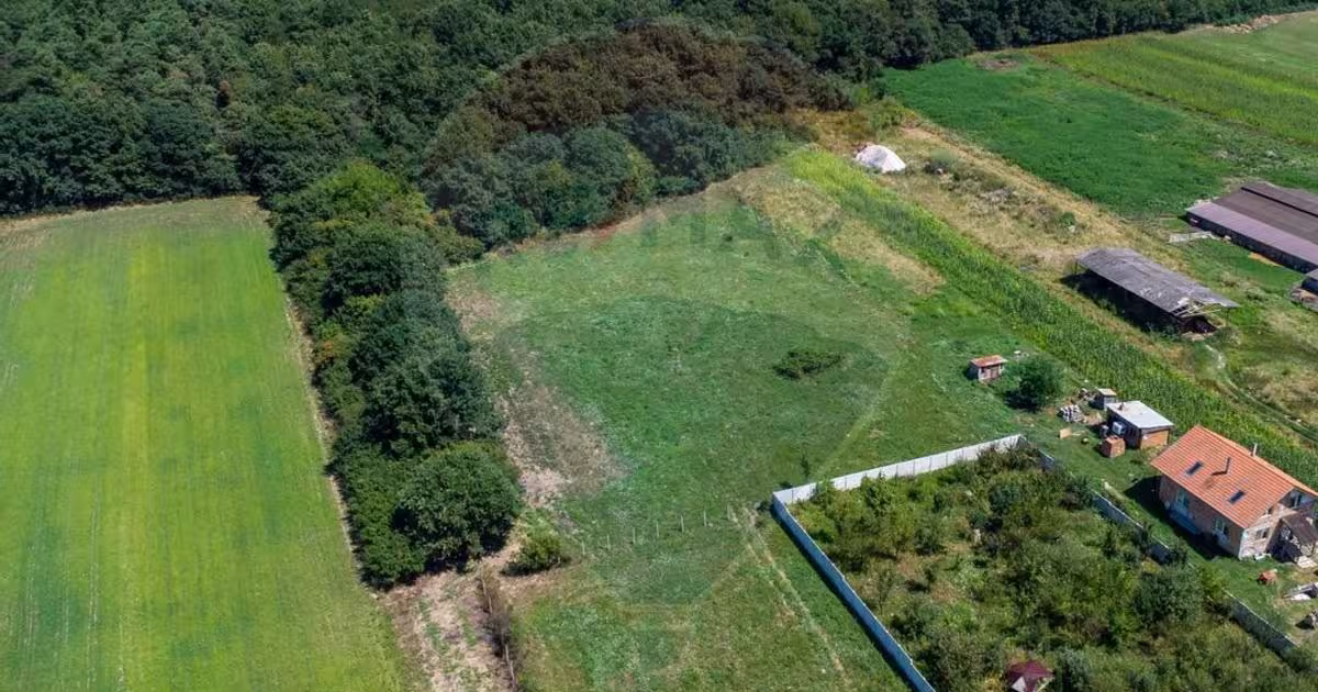 Teren Construcții intravilan de 2469 mp, în Bălata