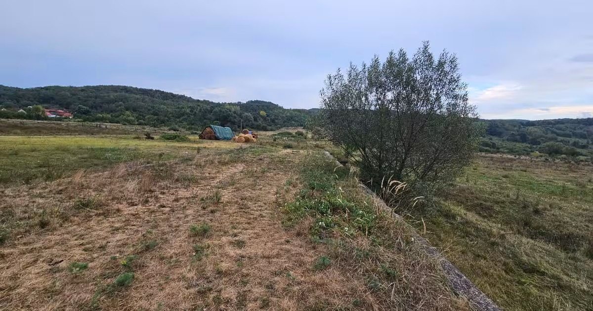 Teren Construcții intravilan de 507 mp, în Bălata