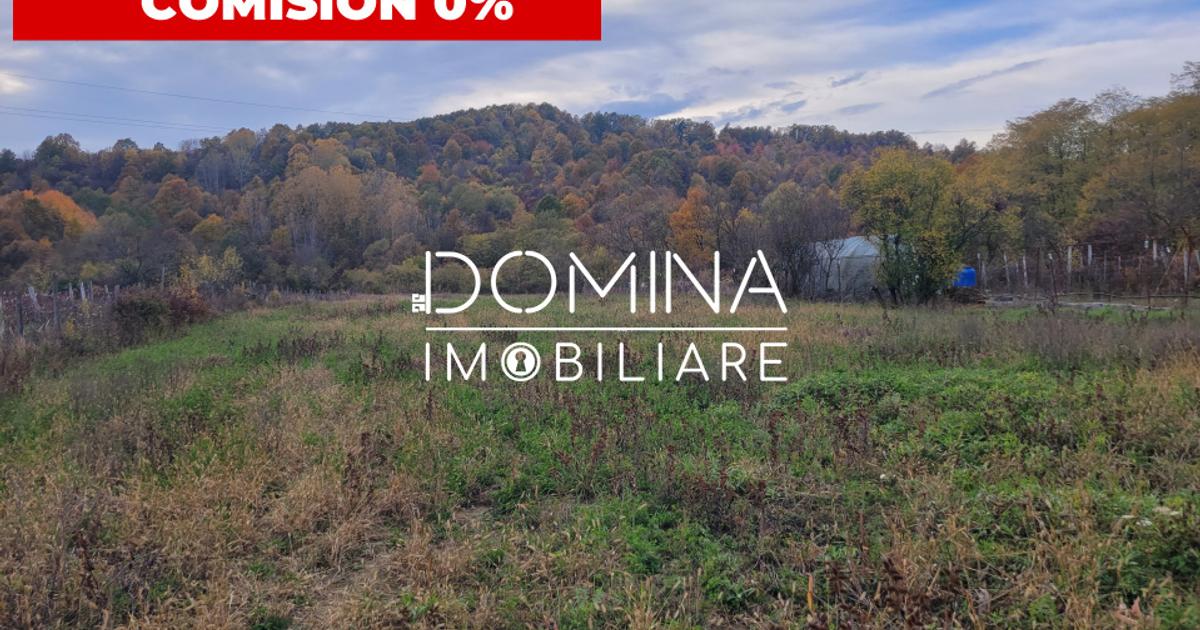 Teren Construcții intravilan de 4967 mp, în Bălești