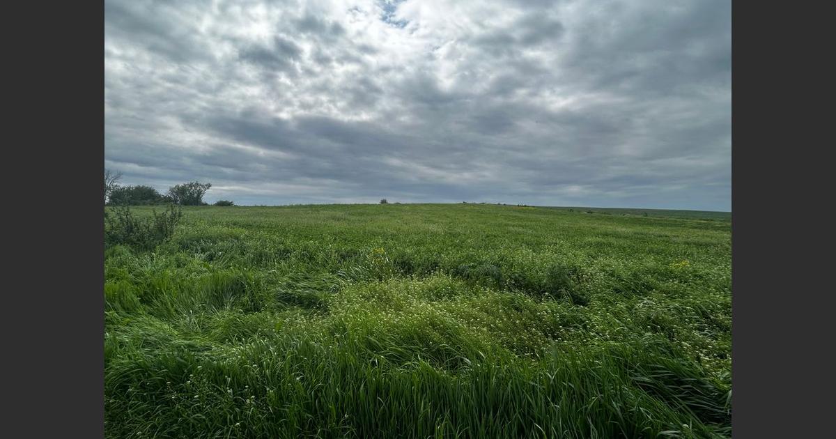 Teren Construcții intravilan de 3010 mp, în zona Central, Balș