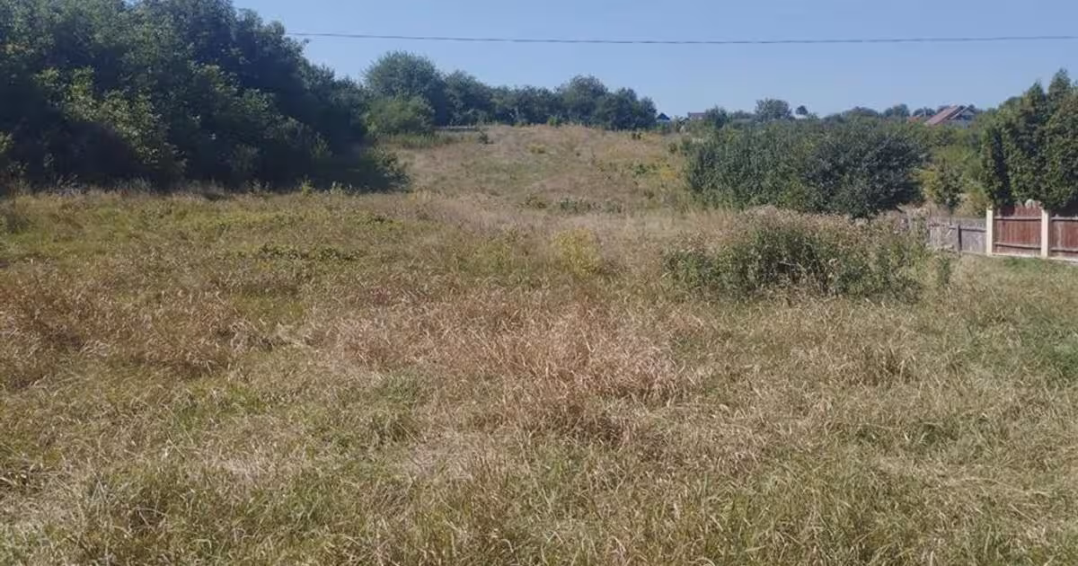 Teren Construcții intravilan de 2590 mp, în Barați