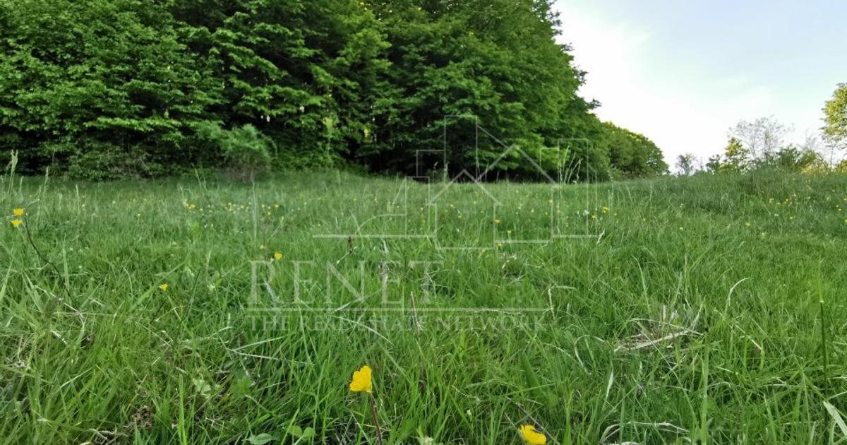 Teren Construcții intravilan de 1000 mp, în Bascov