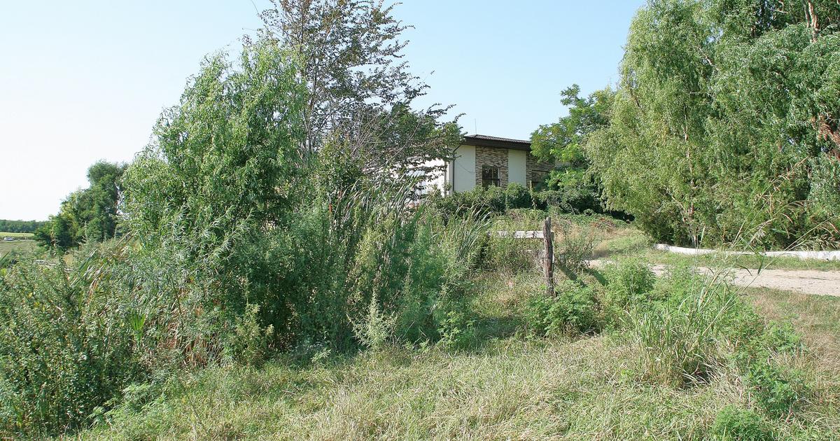 Teren Construcții intravilan de 19720 mp, în Belciugatele