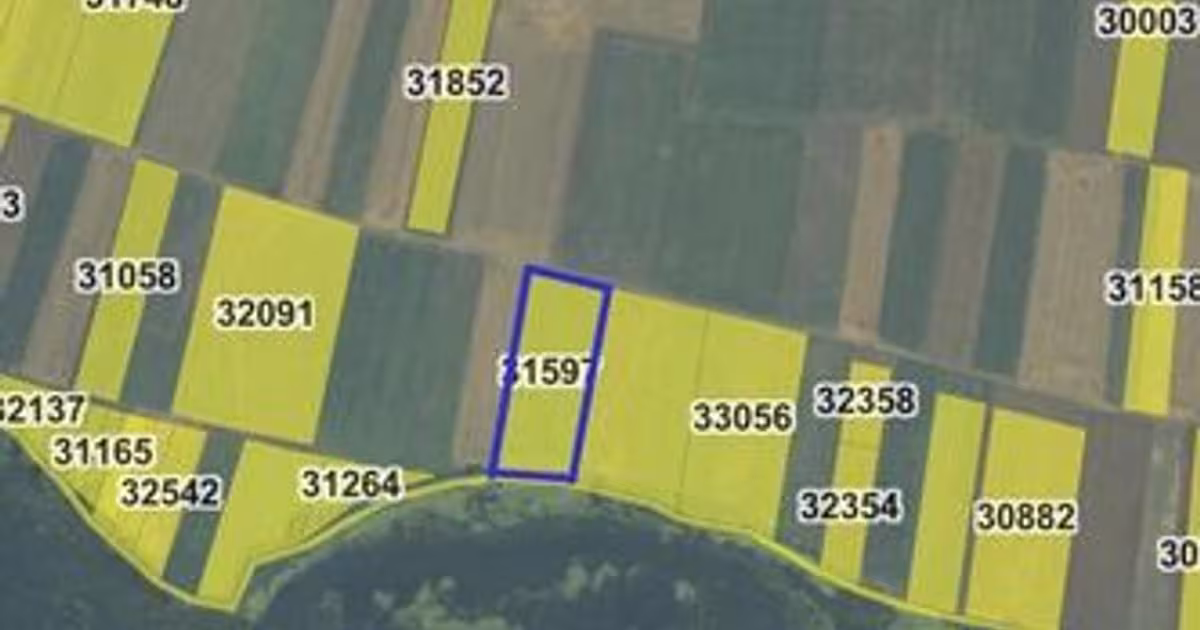 Teren Construcții extravilan de 4000 mp, în Berzasca